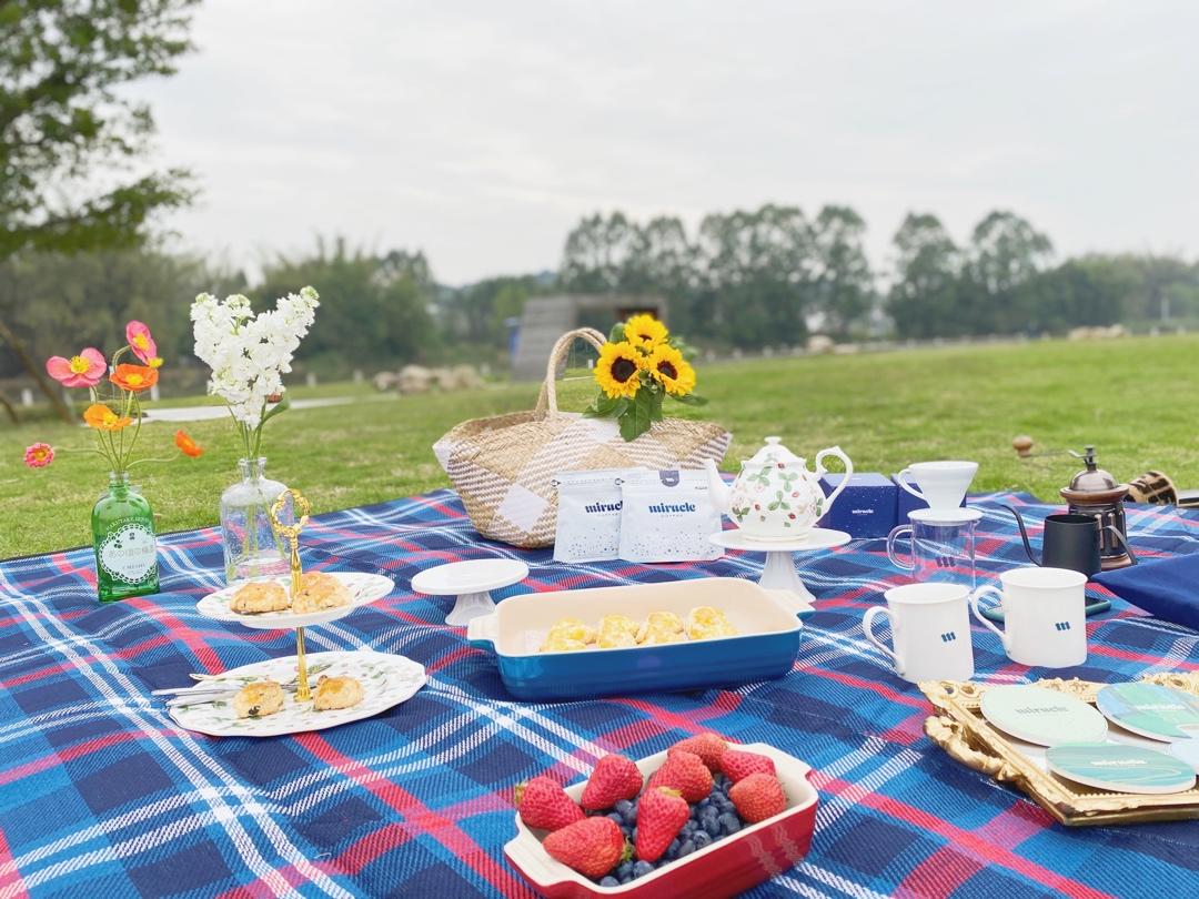 不负春光阳光明媚的野餐
