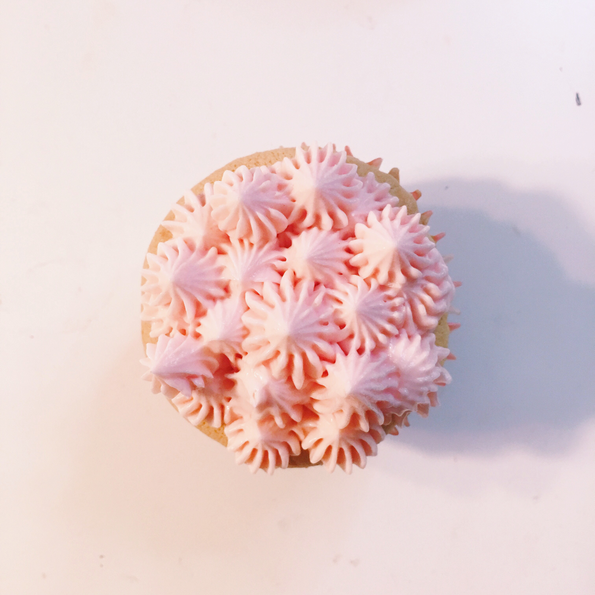 淡奶油纸杯蛋糕