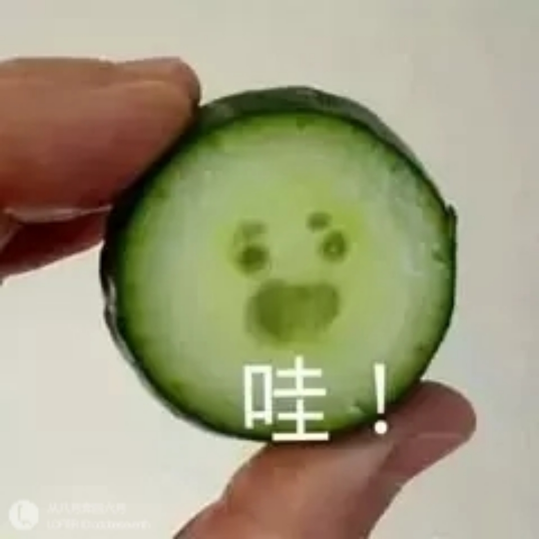 红烧宇宙飞船