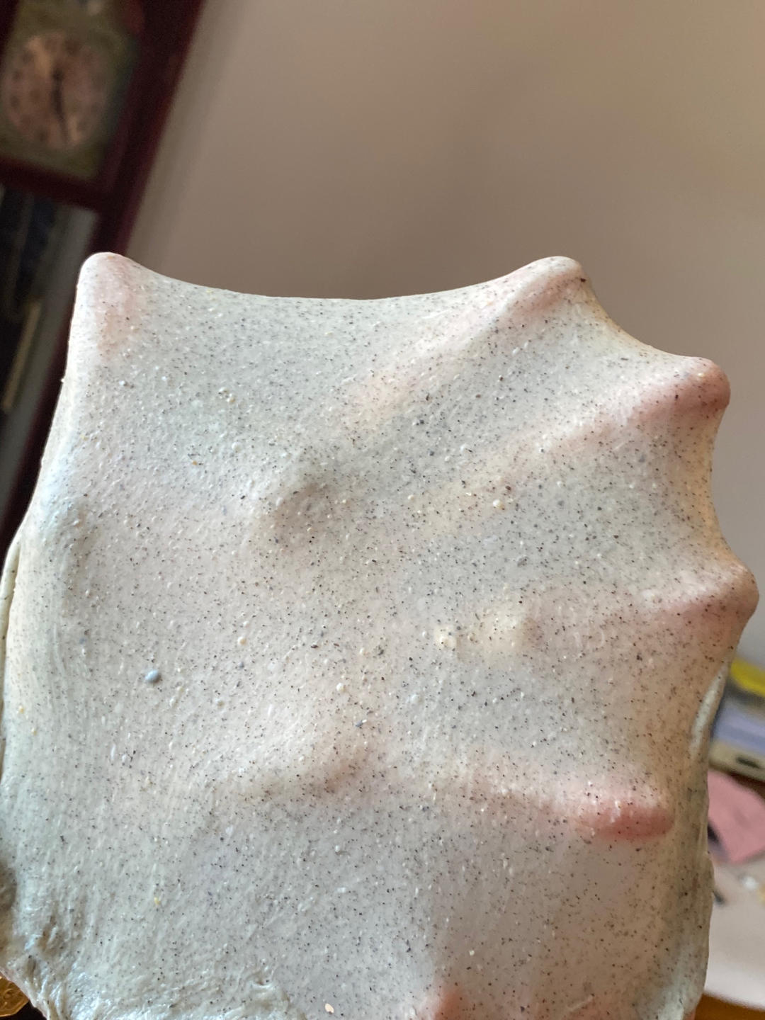 黑芝麻面包卷(中筋面粉)