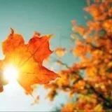 _warmth