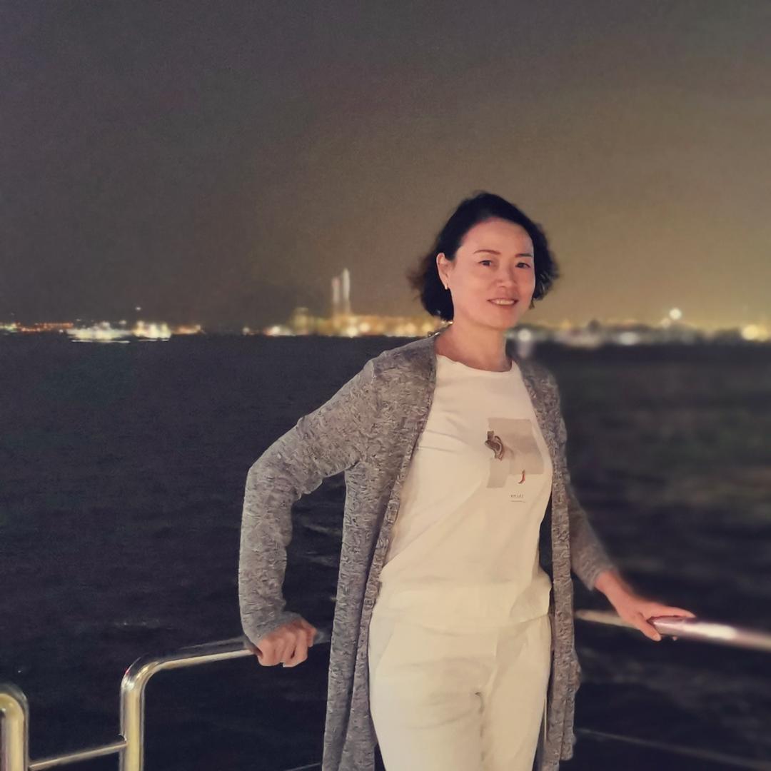 四处飞的小燕子