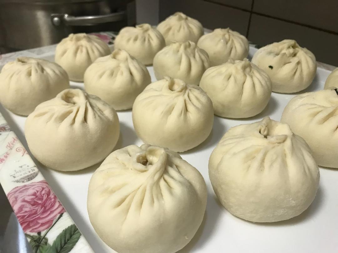 堂妈教你山菜鲜肉大包子