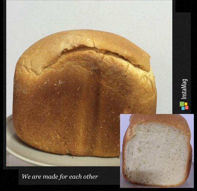 面包机面包(柏翠款)的做法
