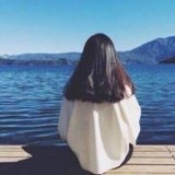 大海豚的叮当猫_