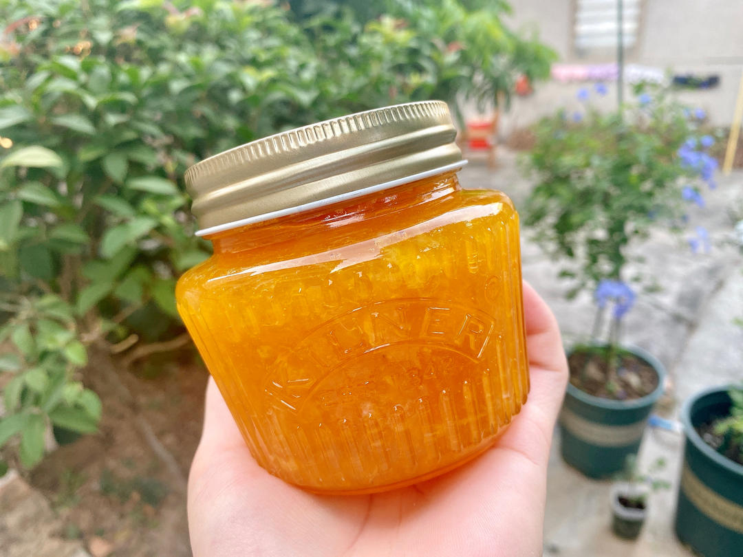 会爆浆的蓝莓果酱