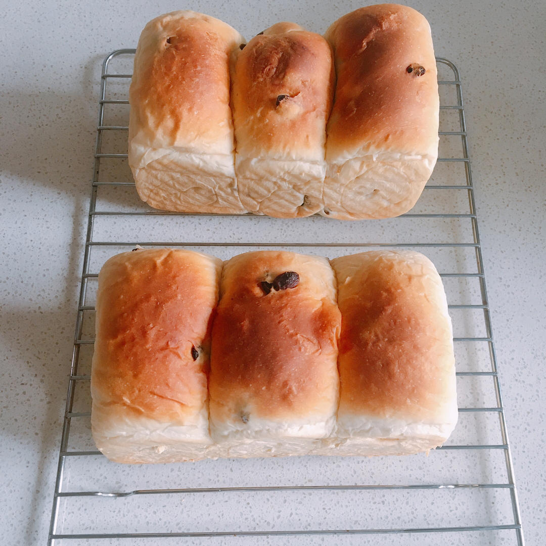 超柔软一发‼️奶香葡萄干手撕吐司『松软拉丝』