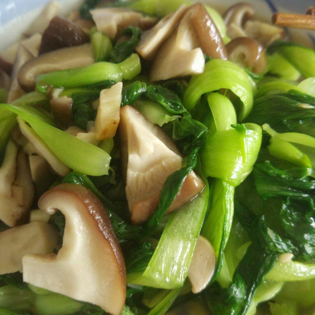 蚝油香菇小油菜