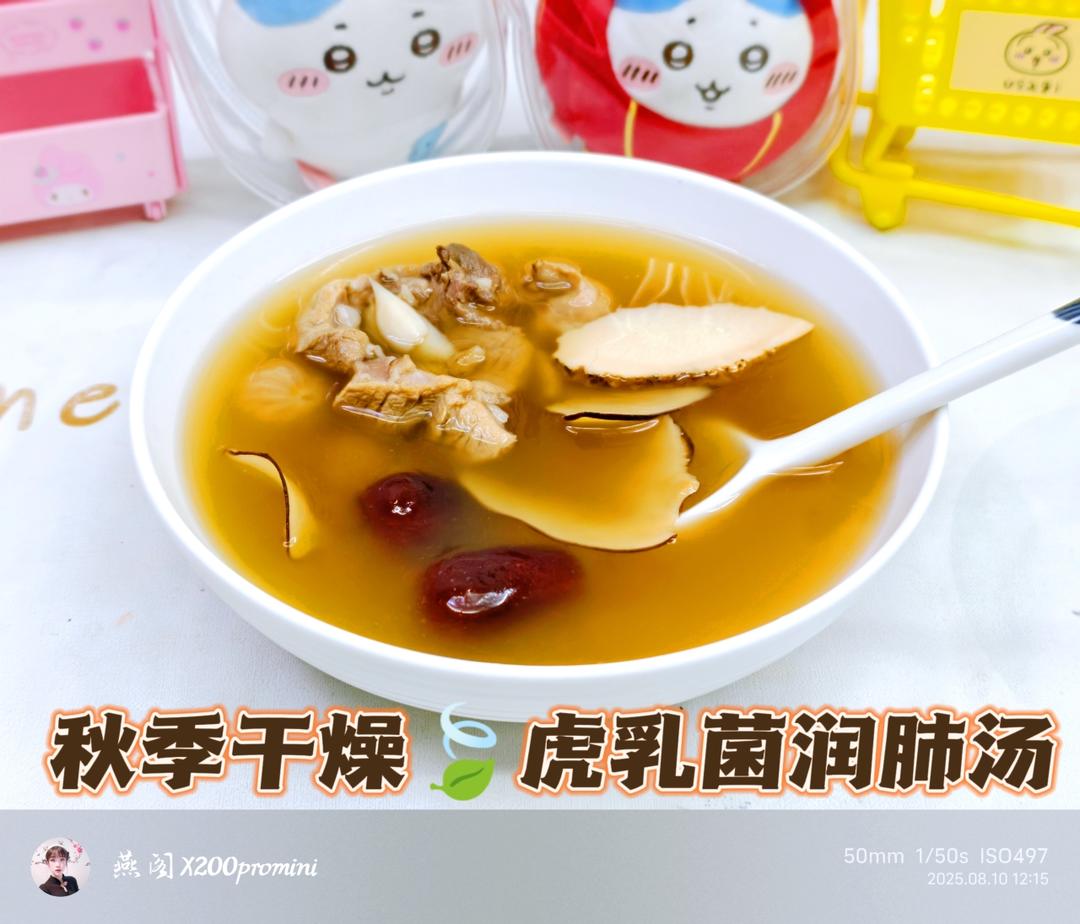 秋季干燥🍃虎乳菌润肺汤