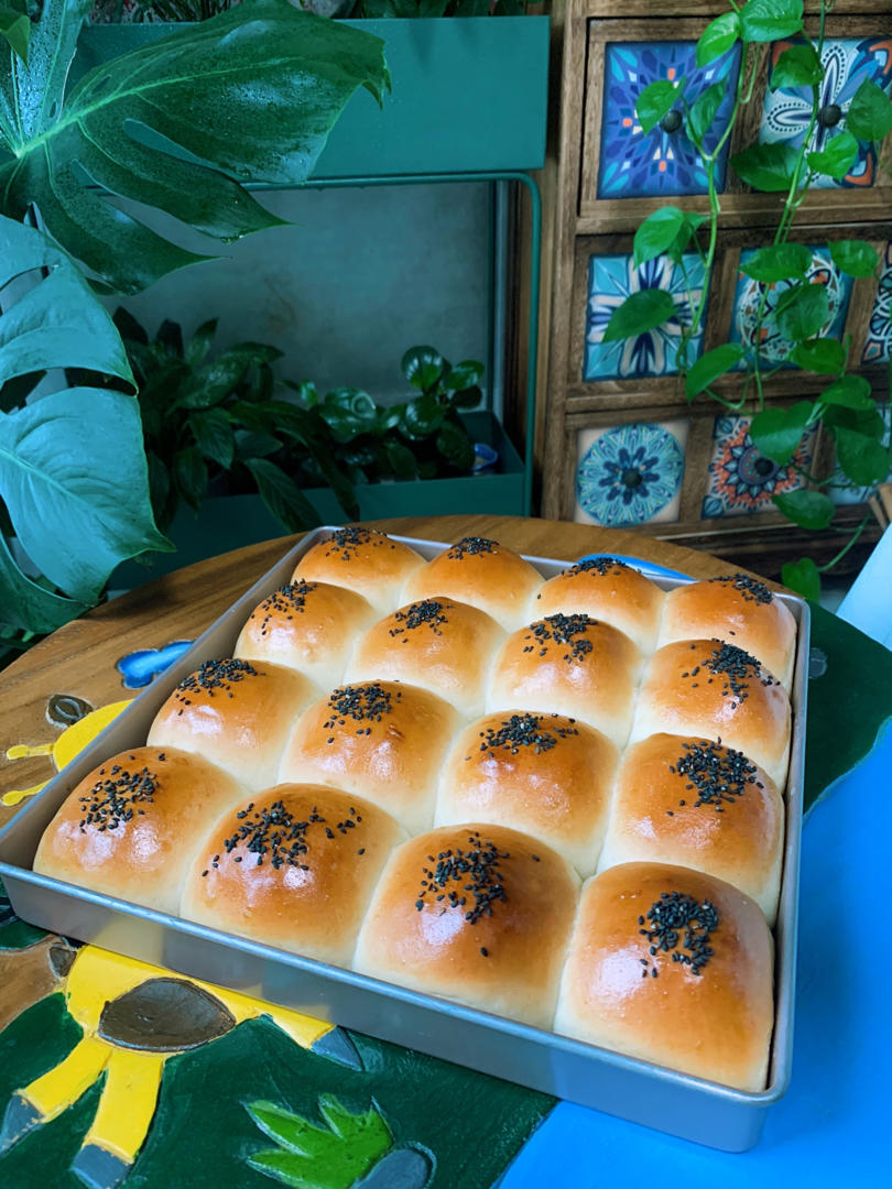 鲜奶油小餐包（一次发酵）