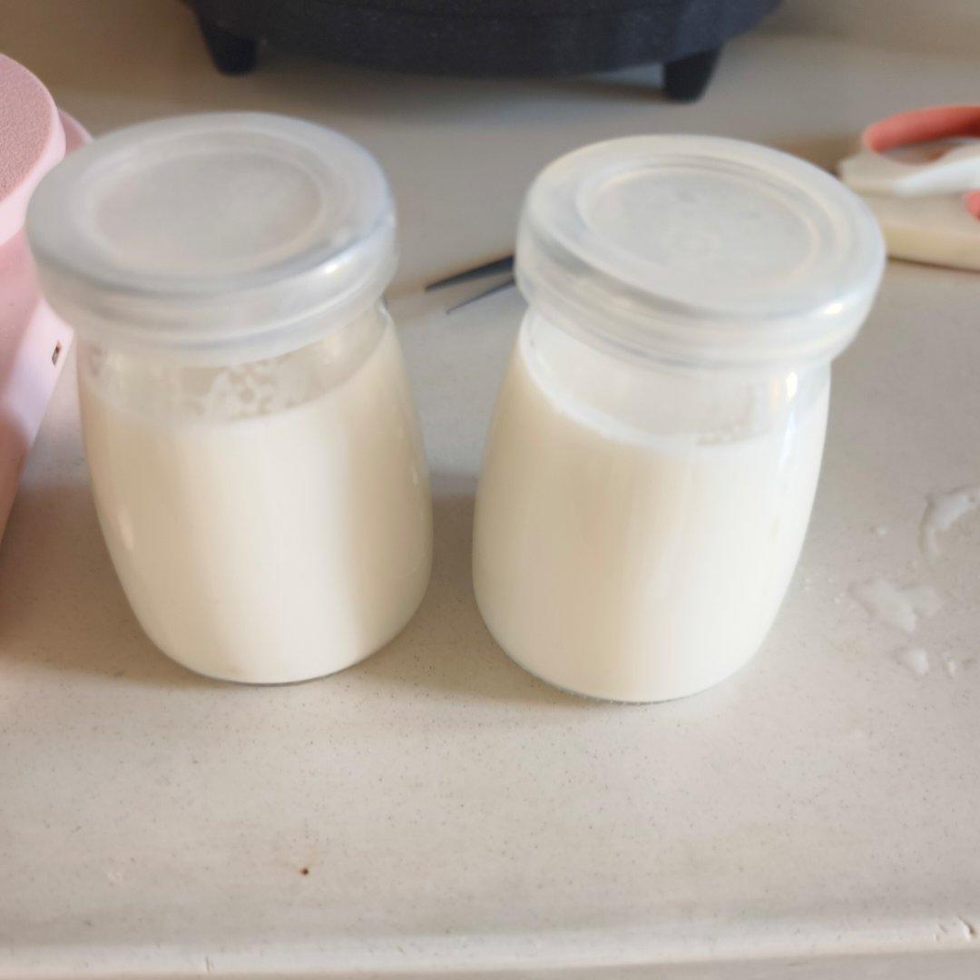 完美牛奶布丁（吉利丁片版）