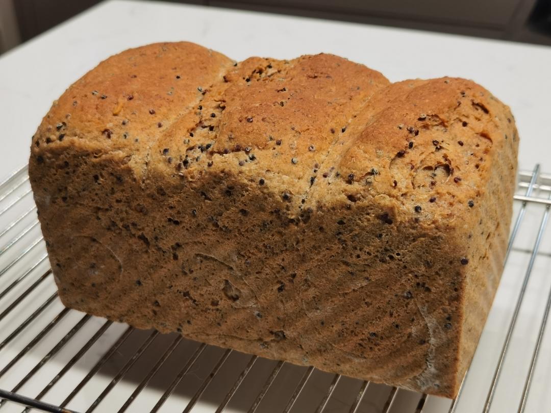 100%全麦三色藜麦吐司面包减脂必备健康主食三明治