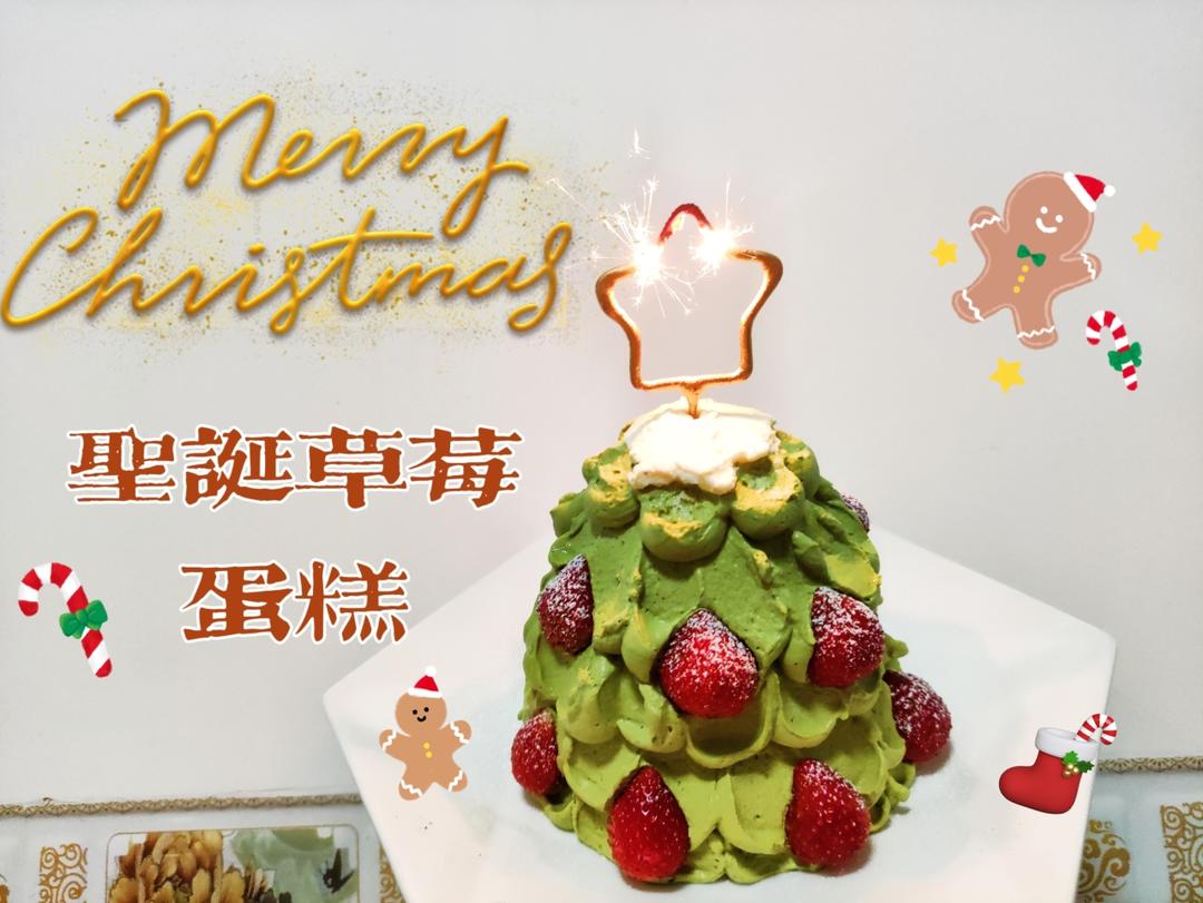 Merry Christmas 圣诞草莓蛋糕