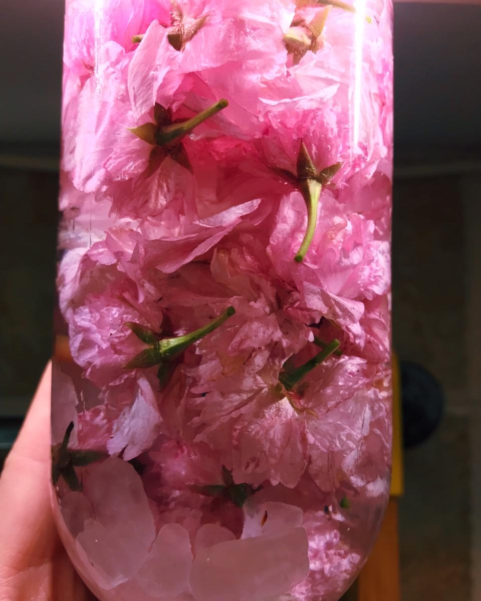 酒不醉人人自醉之「樱花酿」