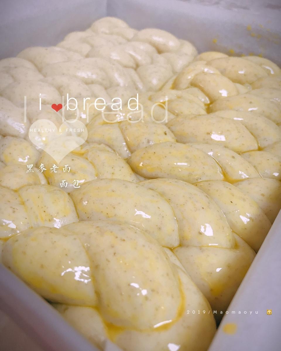 老面包（爱和自由）