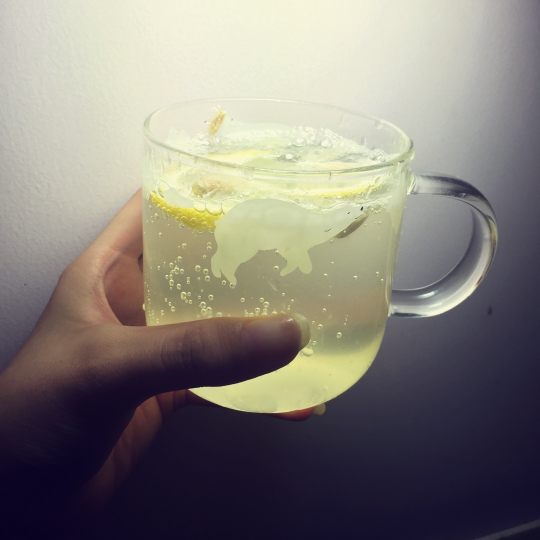 夏日清爽柠檬饮 Lemon Squash