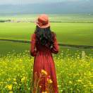 侯丽霞13678629558