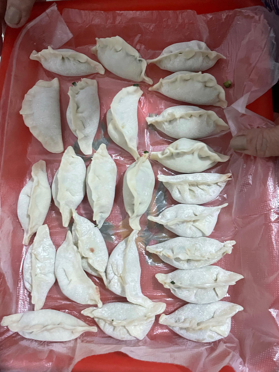 韭菜猪肉饺子(最简单最好吃又最多汁的饺子)