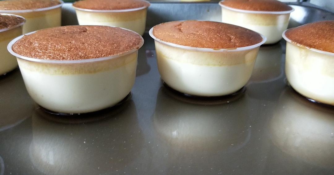 《Tinrry+》焦糖布丁蛋糕（日式布丁烧）