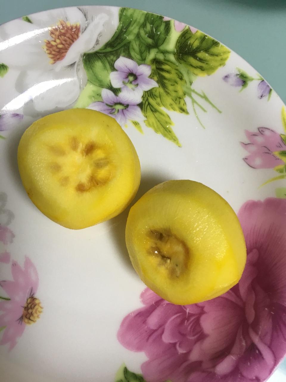 脆柿子