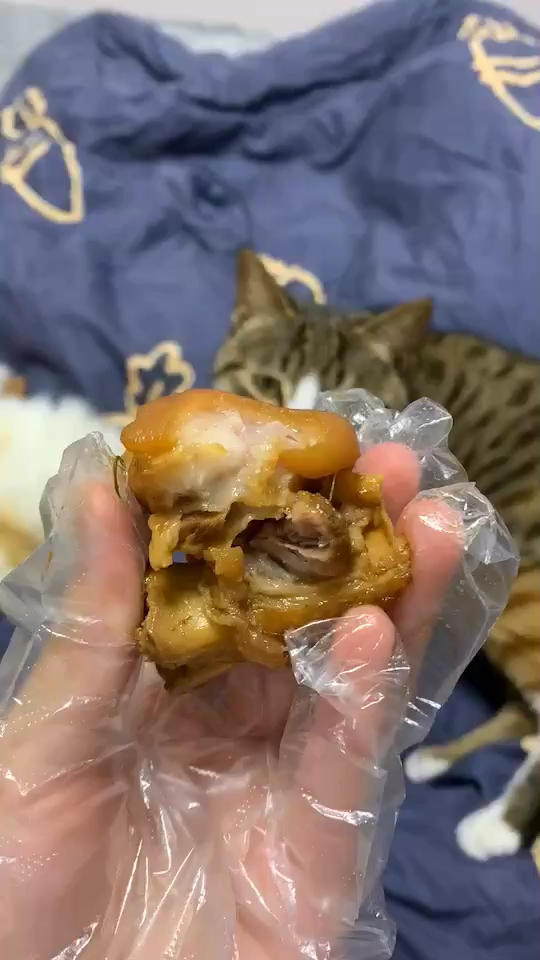 极简版红烧猪蹄（电饭煲）
