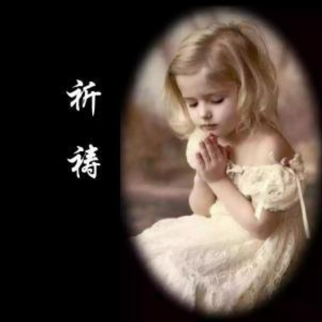 熊猫妈妈77