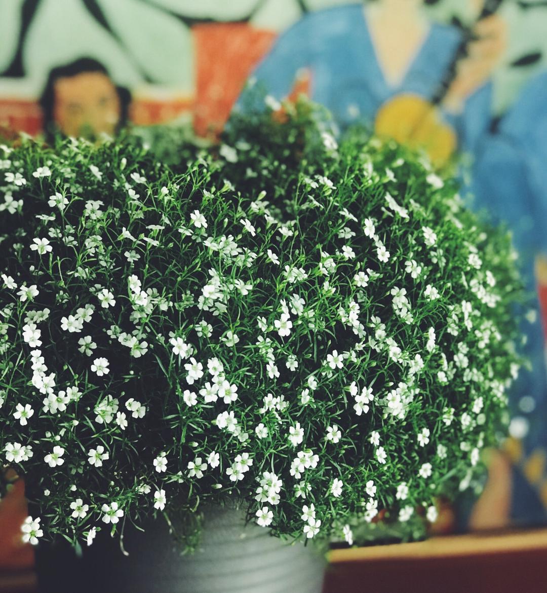 四月早餐打卡—自己记录