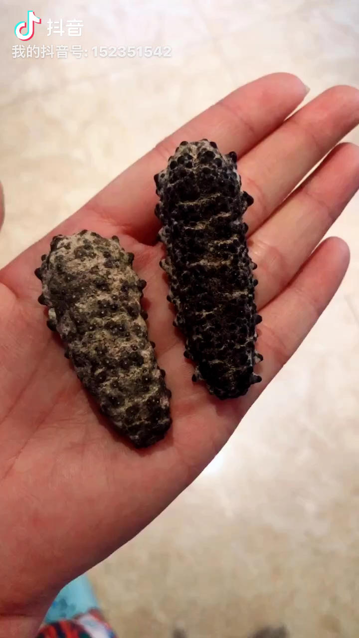 海参小米粥