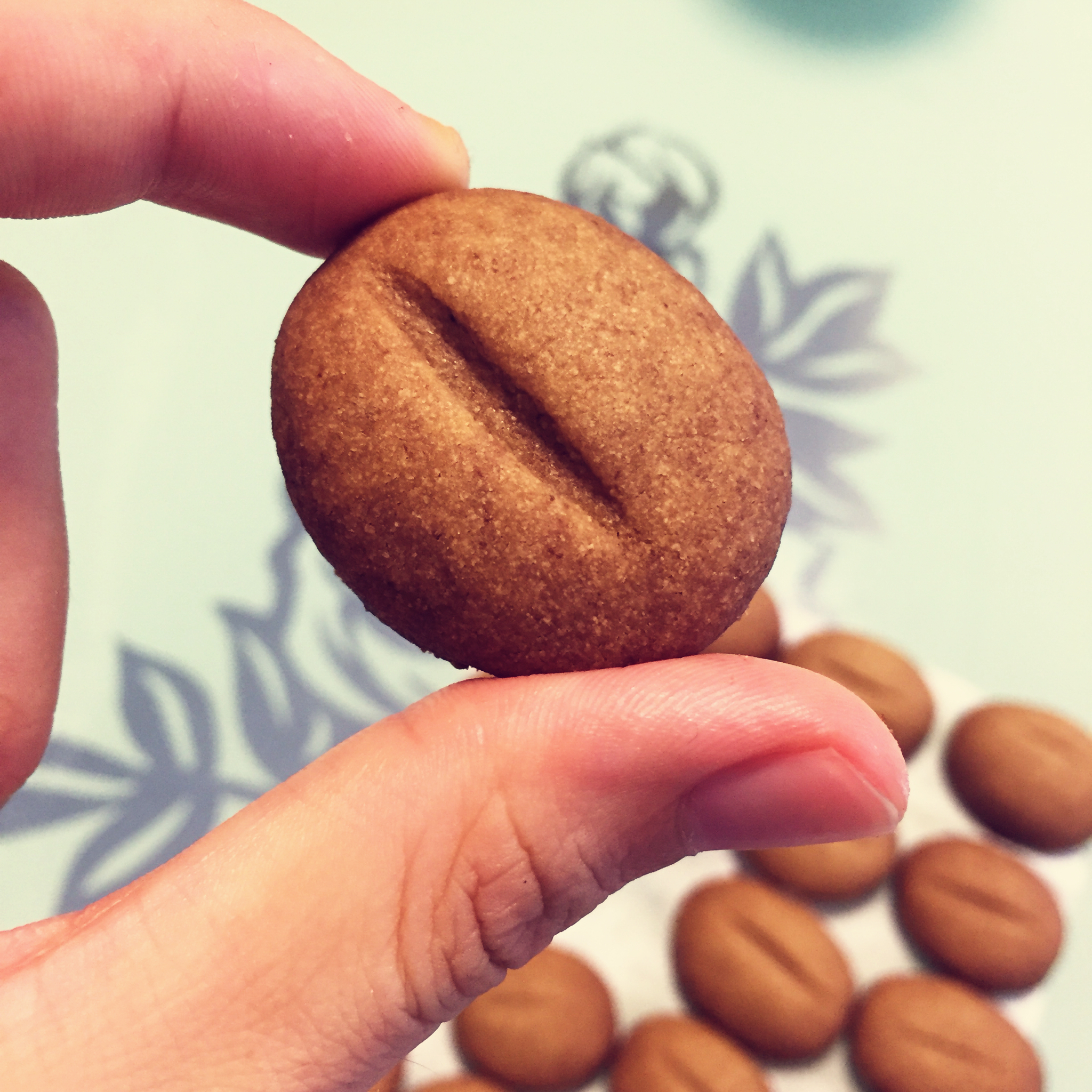 【咖啡豆豆饼干】简单的硬饼干