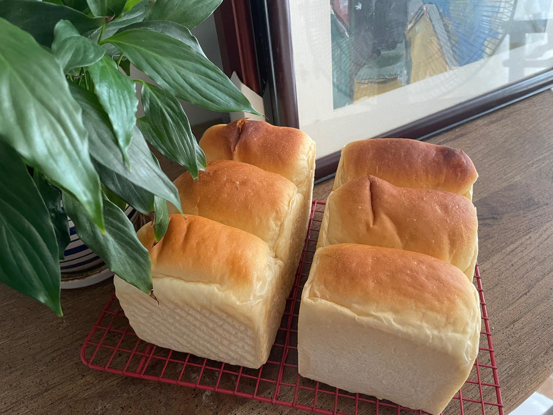 超柔牛奶棉花吐司（最详细的吐司食谱）