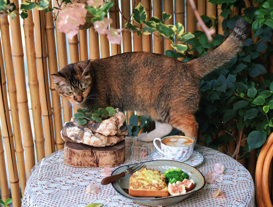 早餐Good morning