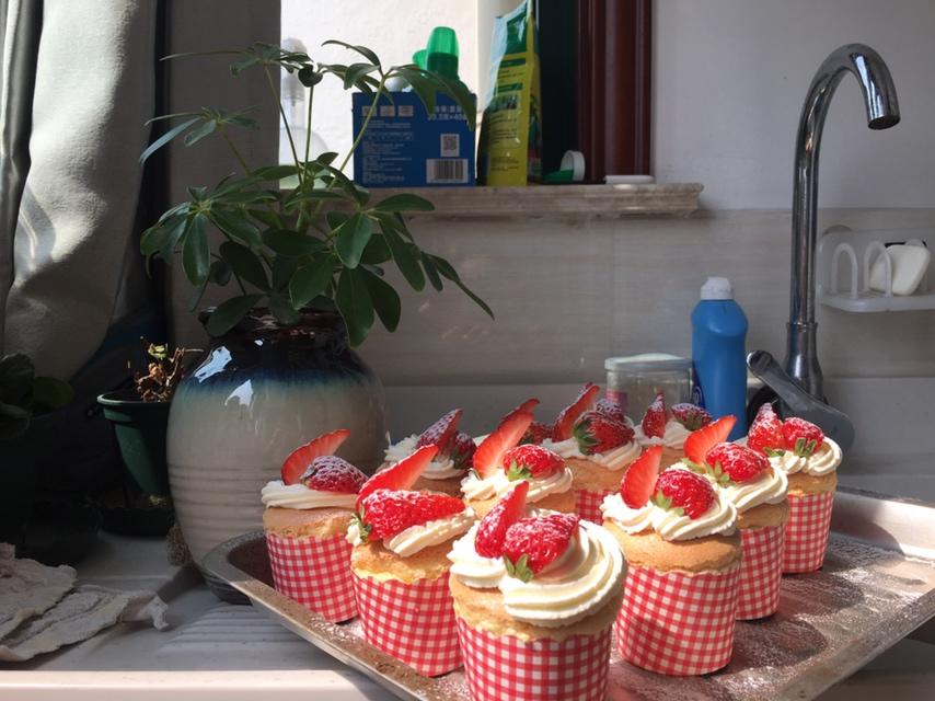 淡奶油纸杯蛋糕