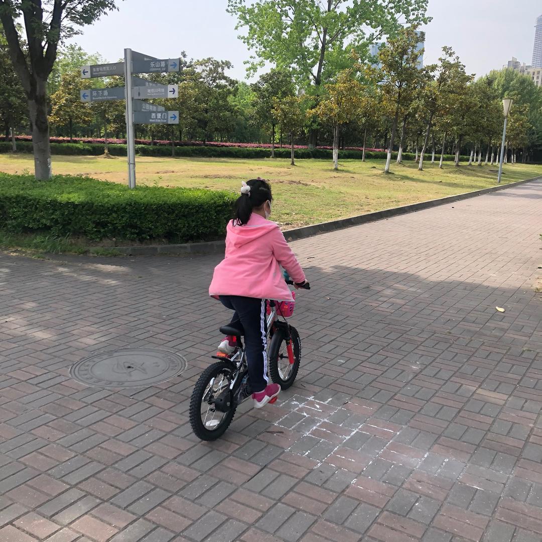 风瑾伊人
