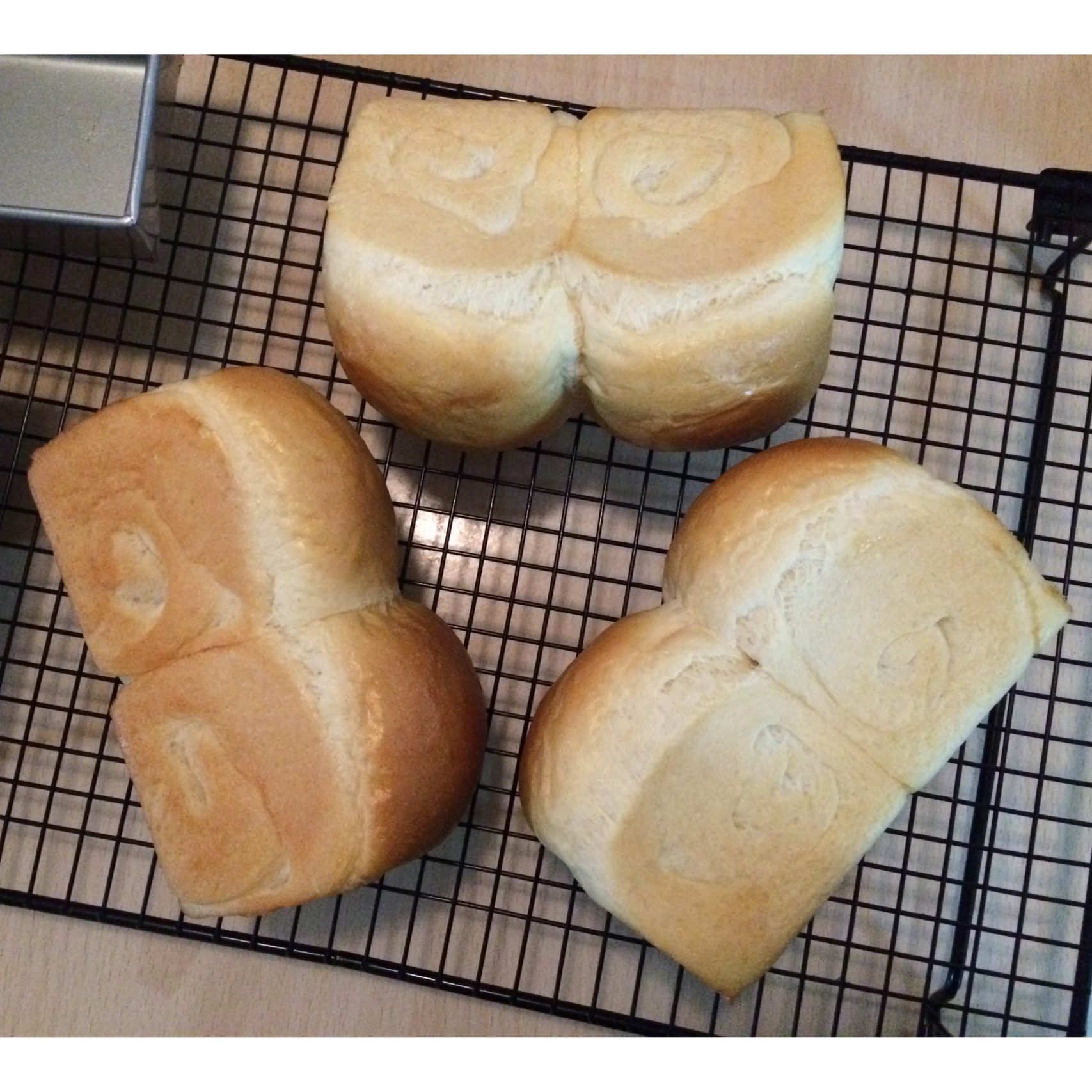 软萌萌小酸奶吐司