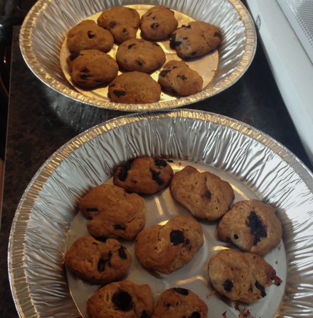 新鲜蓝莓小饼干