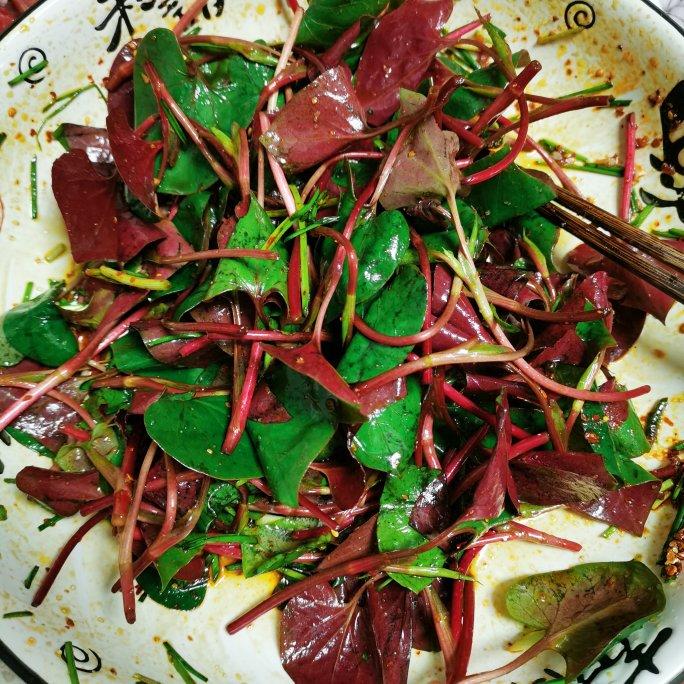 826018f5做的凉拌折耳根叶