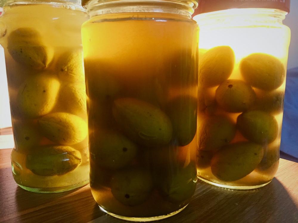 甘草橄榄(生津润喉止咳）