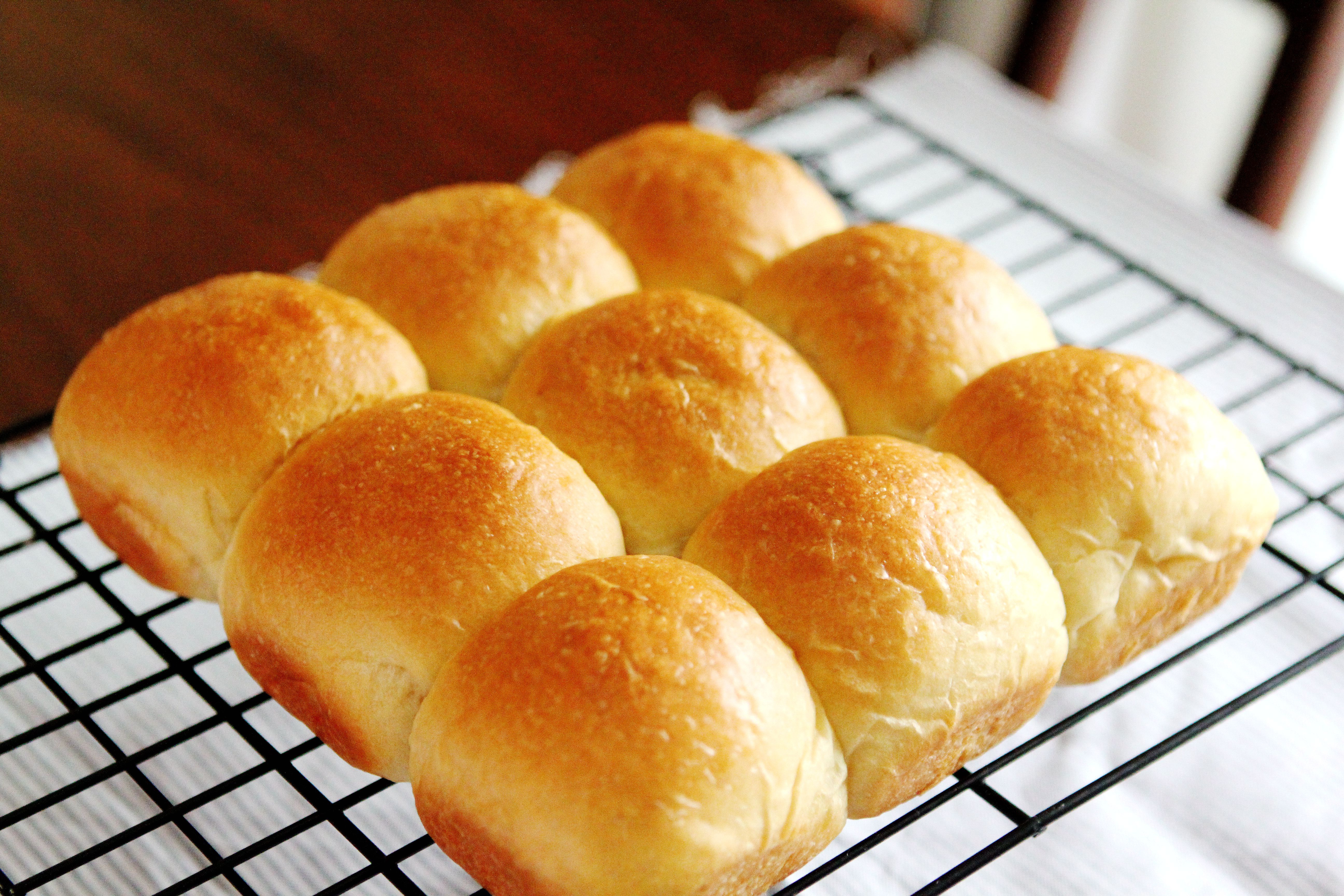 椰奶面包的全部作品