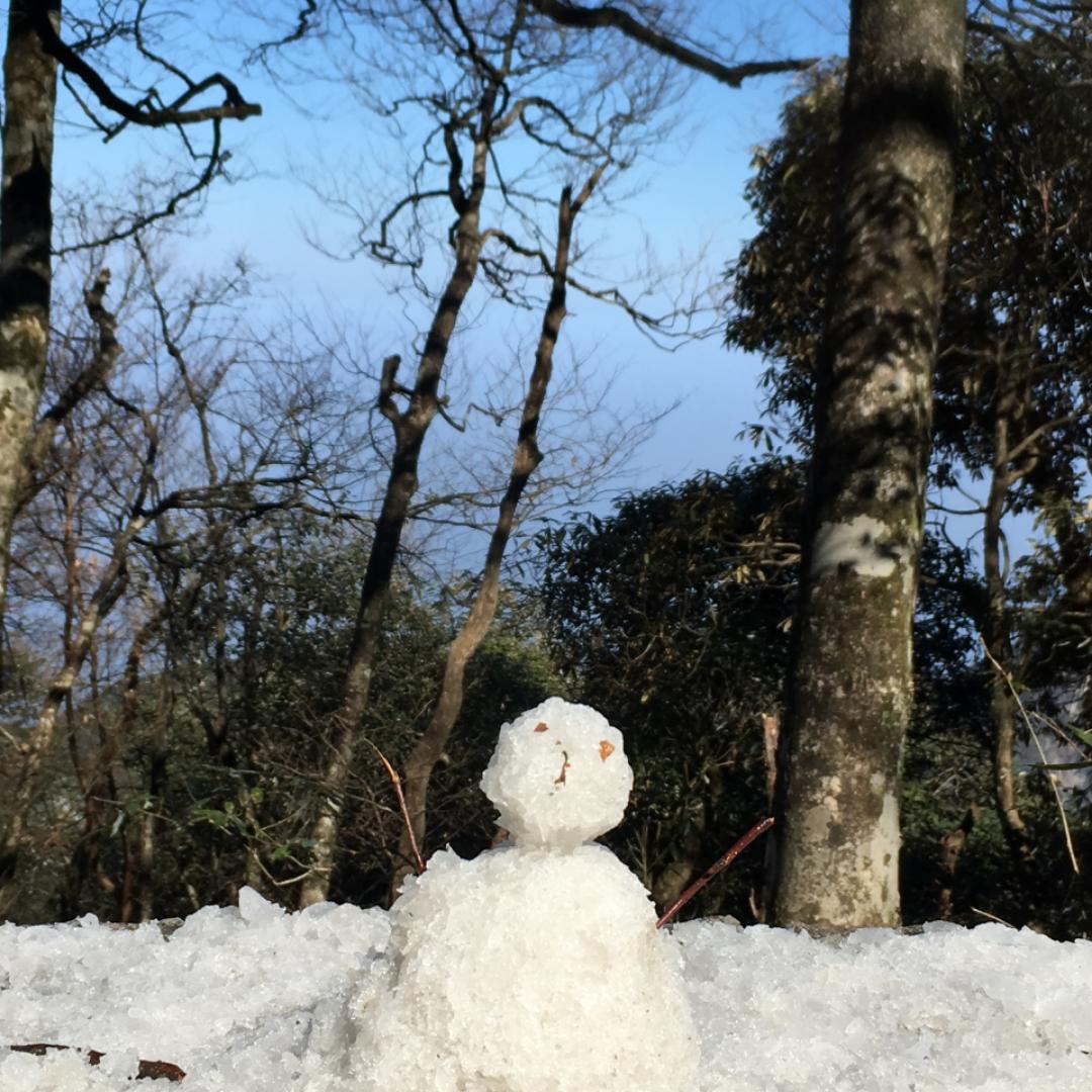 我感觉每天都很瘦