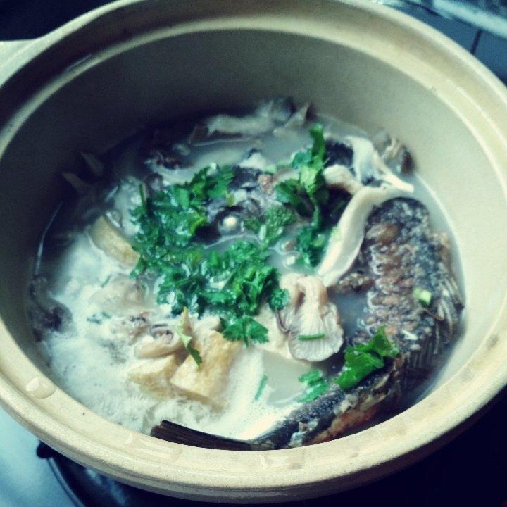 鲫鱼炖豆腐