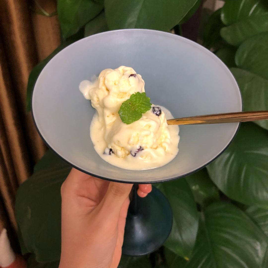 朗姆黑加仑冰淇淋 Rum Raisin Ice cream