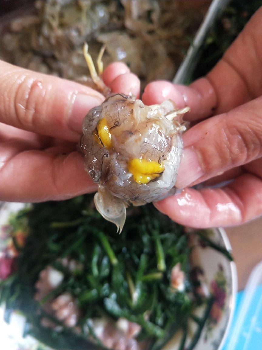 大连腌虾爬子