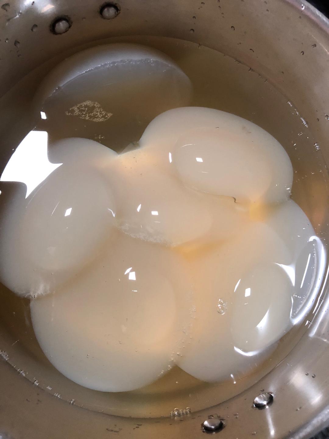 不一样的果冻（野生海石花）