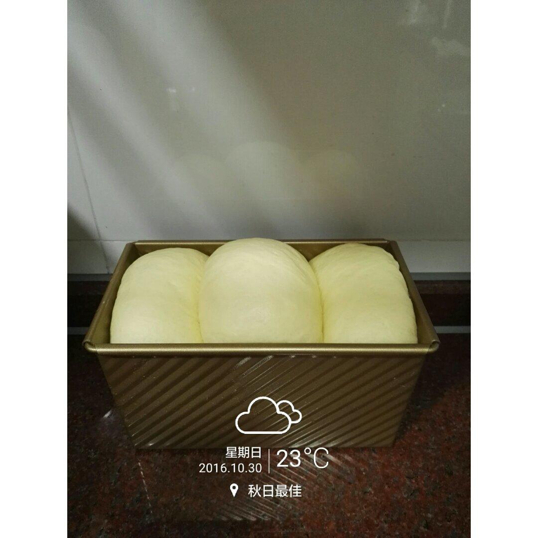 基础面包制作 Basic Bread (Loaf&Roll)