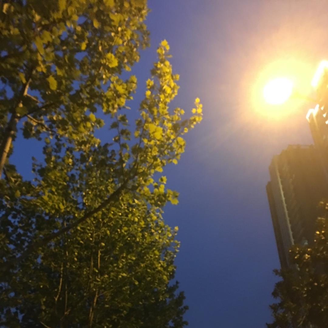 空白格906