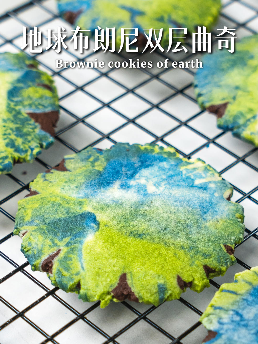 多重口味【地球布朗尼双层曲奇】