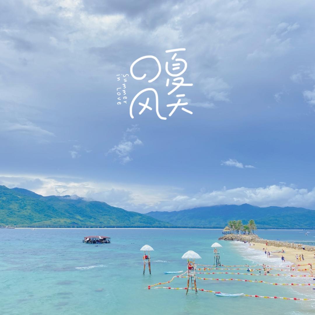 七彩向日葵-1