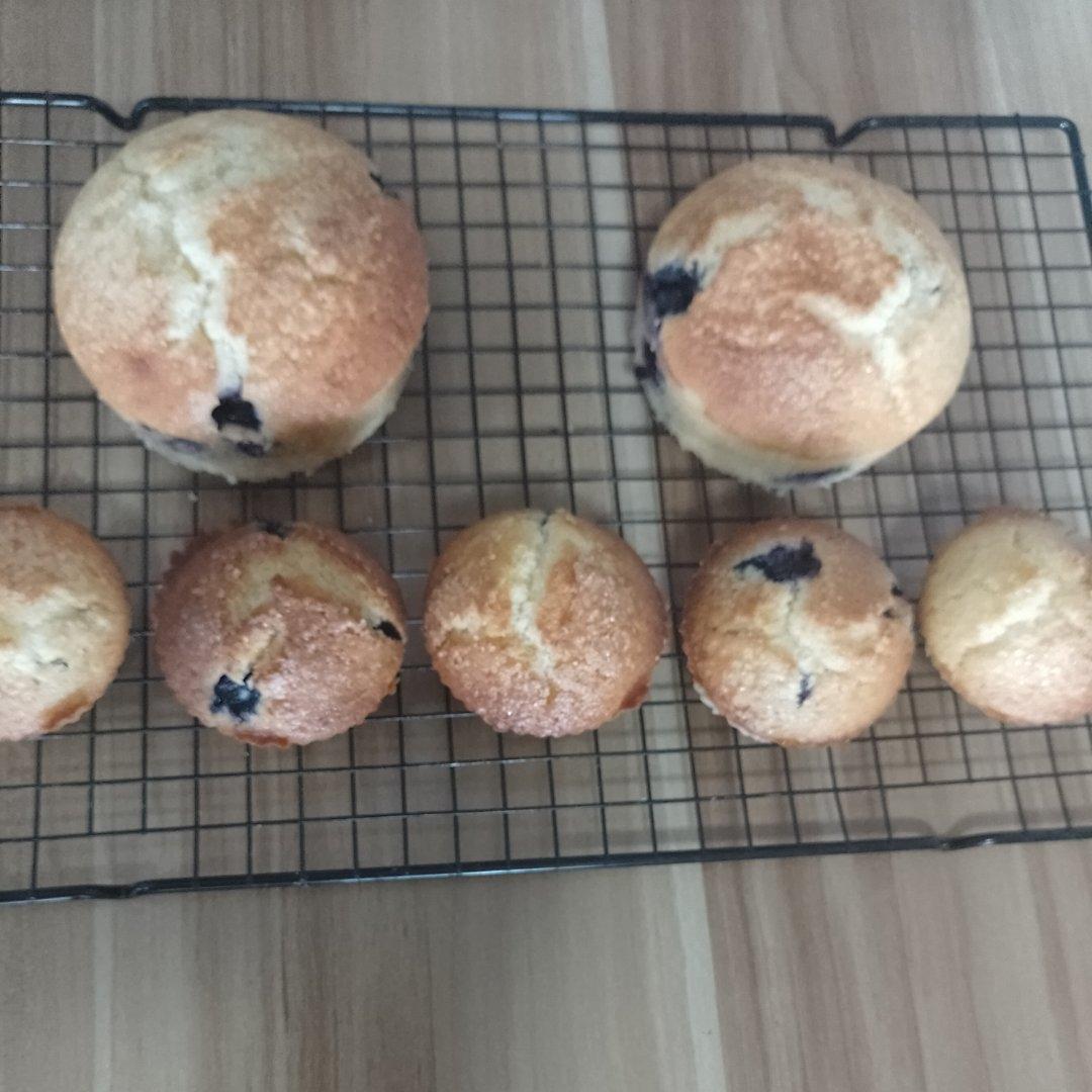 蓝莓玛芬蛋糕 Blueberry Muffin