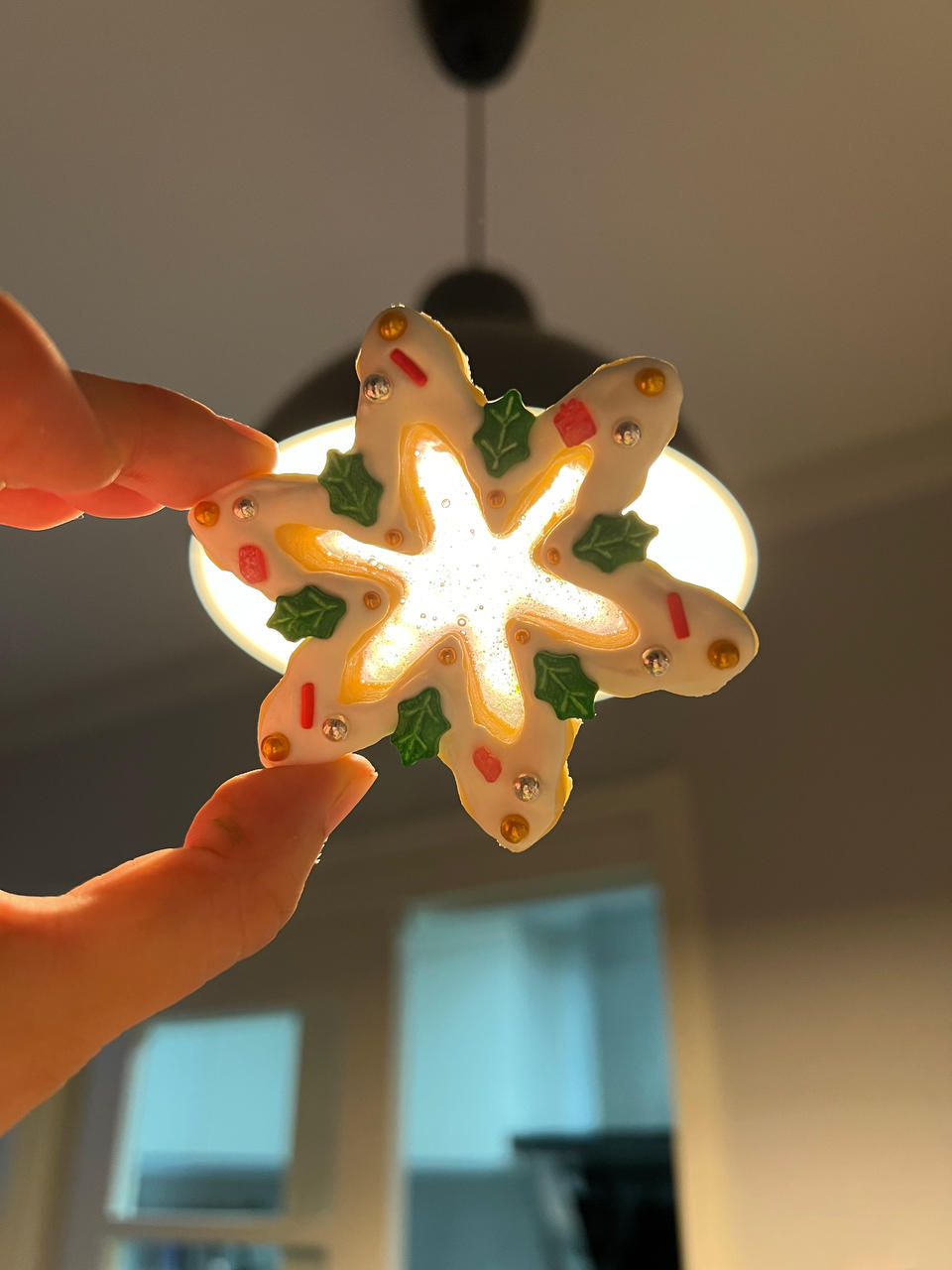 立体小鸭子糖霜饼干