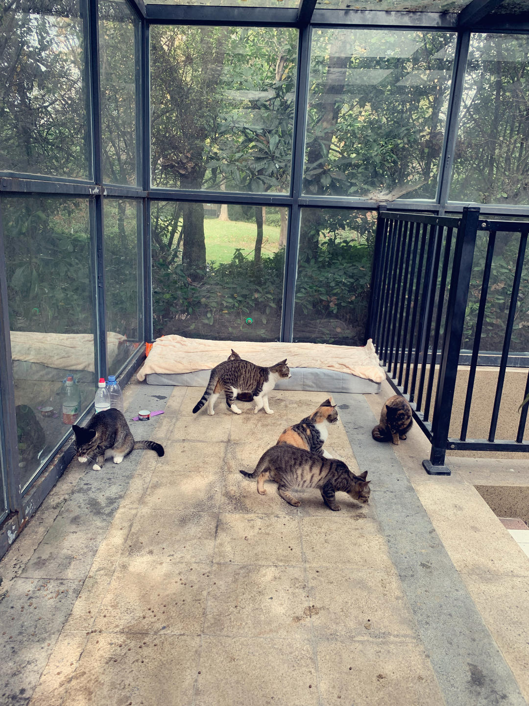 下厨房用户_fqax